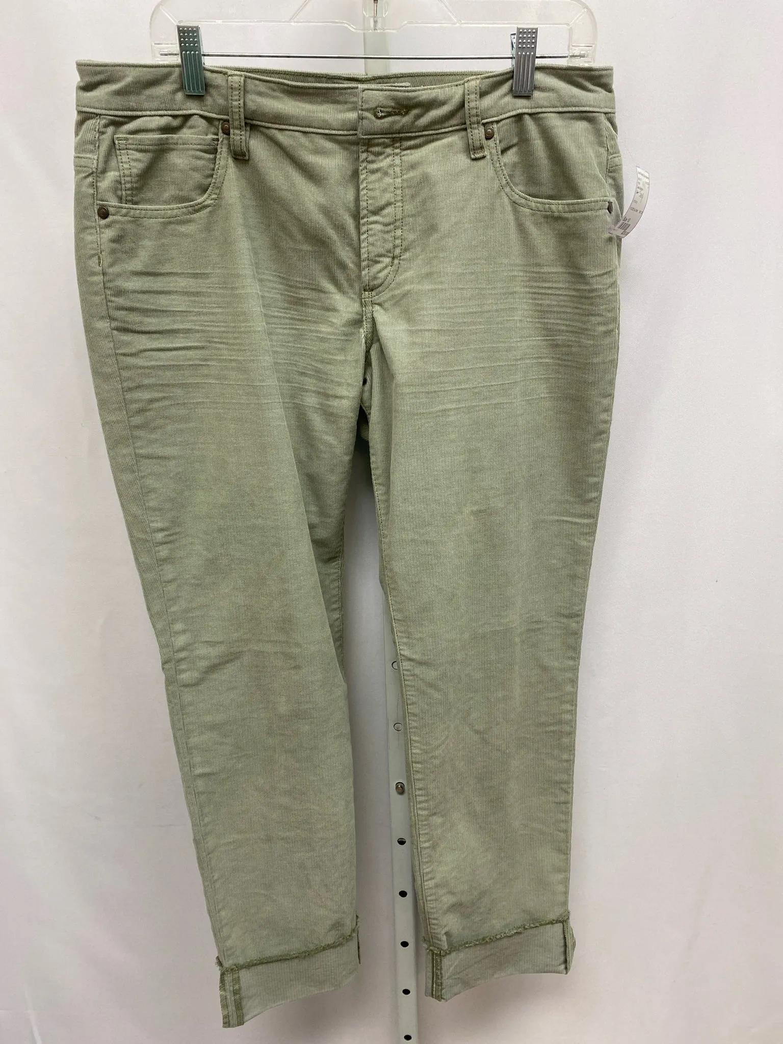 Carve Designs Size 10 Sage Pants