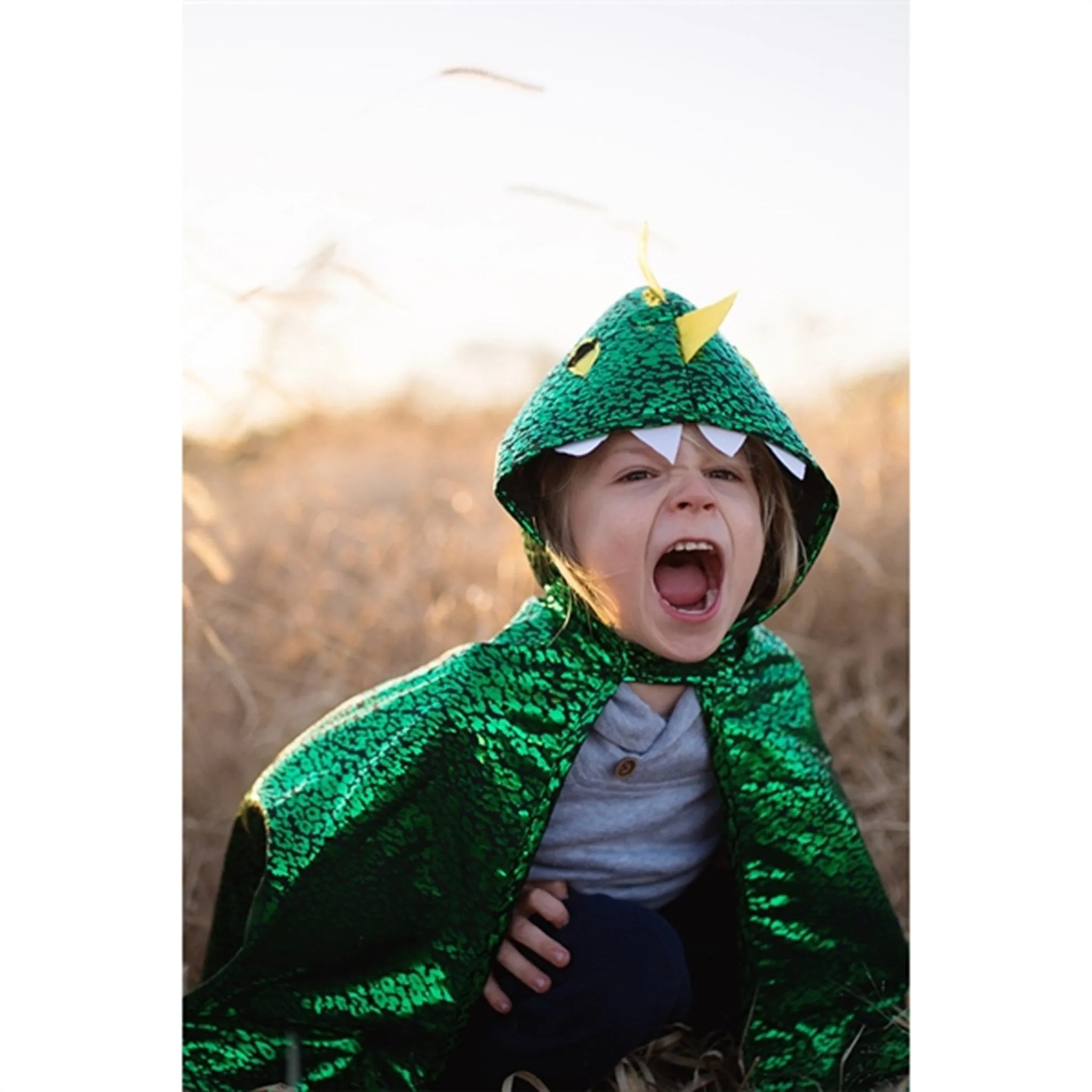 Great Pretenders Dragon Toddler Cape