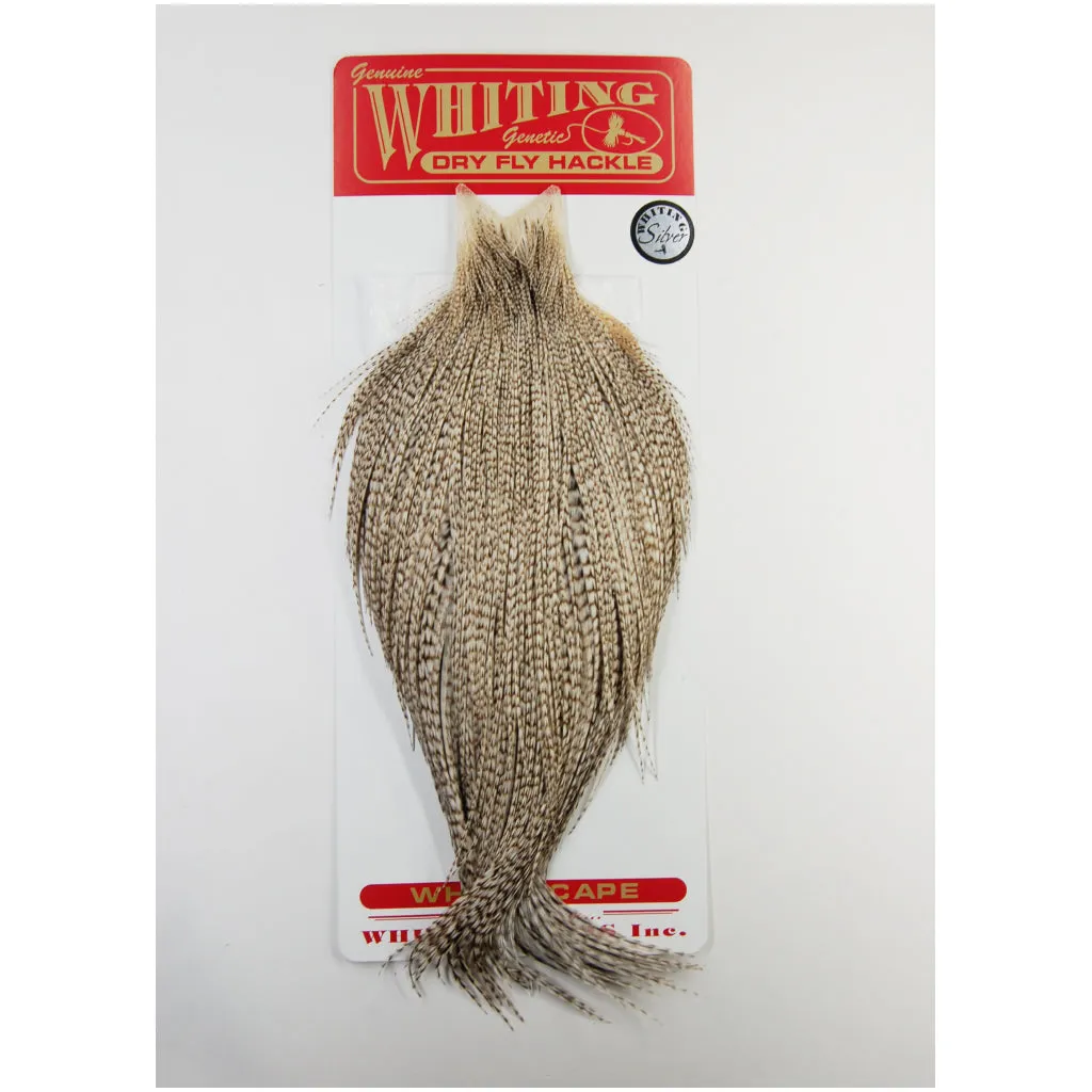 Whiting Rooster Cape Silver Grade